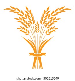 Ears and grains of wheat on a white background. Vector illustration.