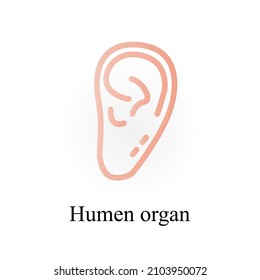 icono de orejas en fondo blanco, ilustración vectorial