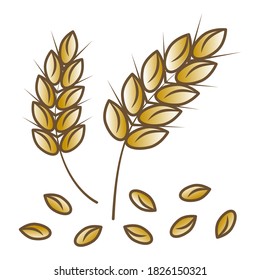 Ears icons set on white background. Design element for logo, sticker or poster of grain, ears of corn for mill, bakery, brewery, agriculture. Organic wheat. Vector illustration.
