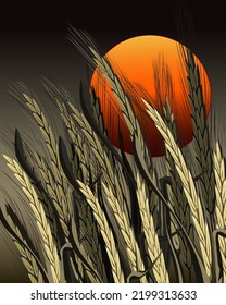 Ears on the background of the sun.Color vector illustration with ears of corn on the background of the setting sun.