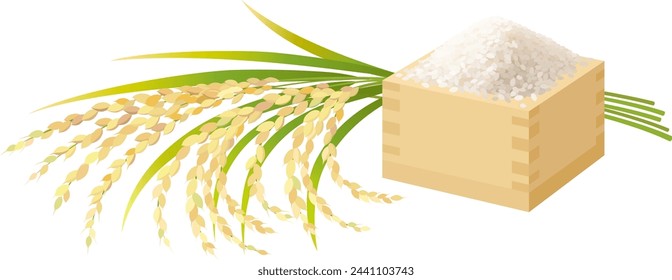 The ears of rice and Masu full of new rice isolated on white background