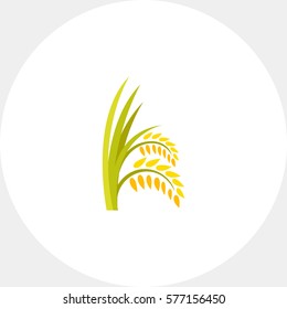 Ears of rice plant icon