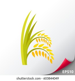 Ears of rice plant icon