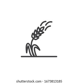 Ohren der reife Weizenlinie Symbol. lineares Stilzeichen für mobiles Konzept und Webdesign. Symbol für die Vektorillustration des Anbaus der Weizenlinie. Agrarsymbol, Logo-Abbildung. Vektorillustration-Grafiken