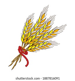 ears of rye or wheat  Gold spikelet, spica, isolated on white  background. Contour lines, sketch, hand drawing Flat design vector illustration