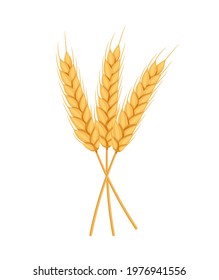 Ears, spikelets of wheat with grains. Yellow flakes for bakers, flour production design. Whole stalks of wheat, an element for packaging organic vegetarian food. Vector isolated flat illustration