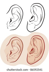 ears, vector - black and white and color