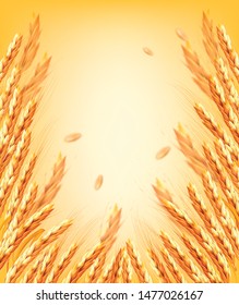 Ears of wheart and dried whole grains on yellow background. Vector illustration
