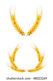 ears of wheat