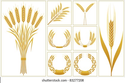 Ears of wheat