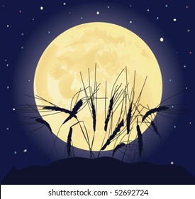 Ears of wheat against the full moon in night