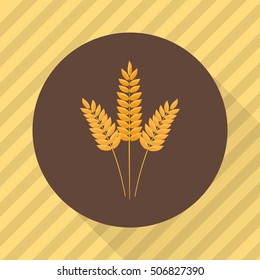 Ears of wheat agriculture crop. Color flat icon