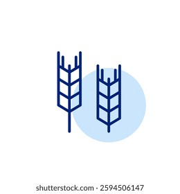 Ears of wheat. Allergen warning, grain-based ingredients. Pixel perfect, editable stroke vector icon