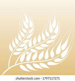 Ears of wheat. Wheat ears background image. Vector illustration. Vector.