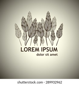 ears of wheat background. Vector