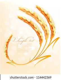 Ears of wheat background. Vector illustration