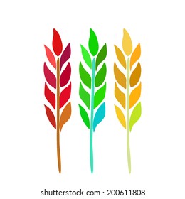 Ears of wheat, barley isolated on white for your design. Vector illustration.