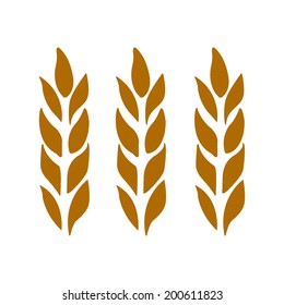 Ears of wheat, barley isolated on white for your design. Vector illustration.