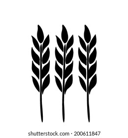 Ears of wheat, barley isolated on white for your design. Vector illustration.