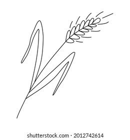 Ears of wheat or barley with leaves. Grain harvest. Vector illustration for brewing, agriculture, logo, print, poster. Drawn in doodle style by outline