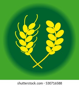 Ears of wheat and barley in ring on green background. Vector illustration.