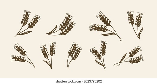 Ears of wheat, barley or rye icon. Bread, bakery symbol