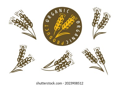 Ears of wheat, barley or rye icon set. Bread, bakery symbol