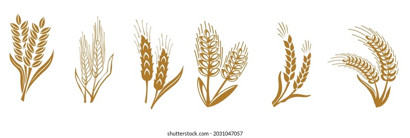 Ears of wheat, barley or rye icon. Bread, bakery symbol