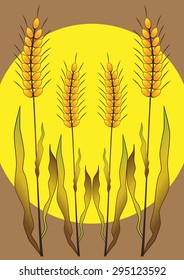 Ears of wheat, barley or rye suitable for bread packaging, beer labels, etc.