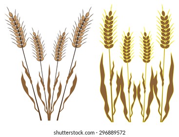 Ears of wheat, barley or rye suitable for bread packaging, beer labels, etc.