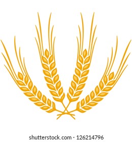 Ears of Wheat, Barley or Rye vector visual graphic icons, ideal for bread packaging, beer labels etc.