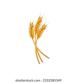 Ears of Wheat, Barley or Rye vector visual graphic icons, ideal for bread packaging, beer labels etc.