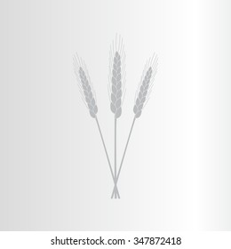 Ears of Wheat, Barley or Rye vector visual graphic icons, ideal for bread packaging, beer labels etc.