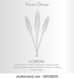 Ears of Wheat, Barley or Rye vector visual graphic icons, ideal for bread packaging, beer labels etc.