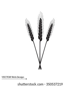 Ears of Wheat, Barley or Rye vector visual graphic icons, ideal for bread packaging, beer labels etc.