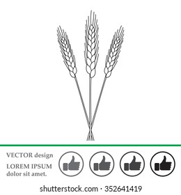 Ears of Wheat, Barley or Rye vector visual graphic icons, ideal for bread packaging, beer labels etc.