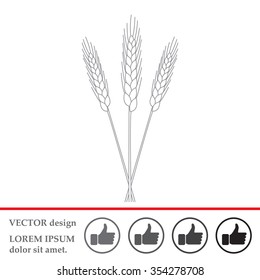 Ears of Wheat, Barley or Rye vector visual graphic icons, ideal for bread packaging, beer labels etc.