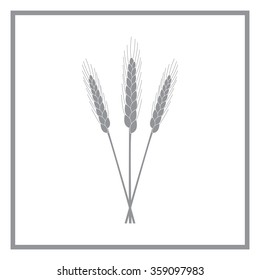 Ears of Wheat, Barley or Rye vector visual graphic icons, ideal for bread packaging, beer labels etc.