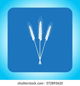 Ears of Wheat, Barley or Rye vector visual graphic icons, ideal for bread packaging, beer labels etc.