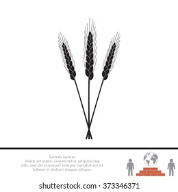 Ears of Wheat, Barley or Rye vector visual graphic icons, ideal for bread packaging, beer labels etc.
