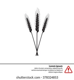 Ears of Wheat, Barley or Rye vector visual graphic icons, ideal for bread packaging, beer labels etc.