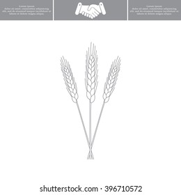 Ears of Wheat, Barley or Rye vector visual graphic icons, ideal for bread packaging, beer labels etc.