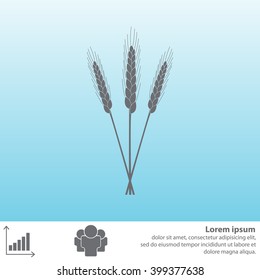 Ears of Wheat, Barley or Rye vector visual graphic icons, ideal for bread packaging, beer labels etc.
