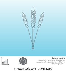 Ears of Wheat, Barley or Rye vector visual graphic icons, ideal for bread packaging, beer labels etc.