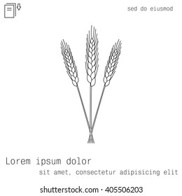 Ears of Wheat, Barley or Rye vector visual graphic icons, ideal for bread packaging, beer labels etc.