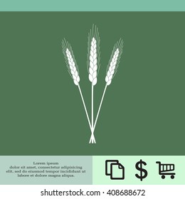 Ears of Wheat, Barley or Rye vector visual graphic icons, ideal for bread packaging, beer labels etc.