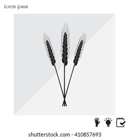 Ears of Wheat, Barley or Rye vector visual graphic icons, ideal for bread packaging, beer labels etc.