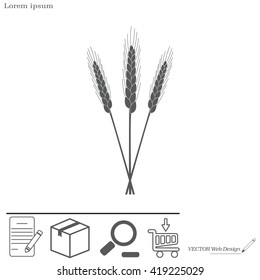 Ears of Wheat, Barley or Rye vector visual graphic icons, ideal for bread packaging, beer labels etc.