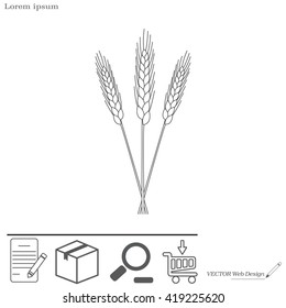 Ears of Wheat, Barley or Rye vector visual graphic icons, ideal for bread packaging, beer labels etc.