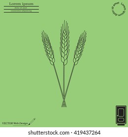 Ears of Wheat, Barley or Rye vector visual graphic icons, ideal for bread packaging, beer labels etc.